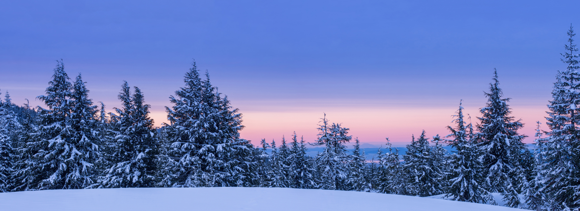 winter
